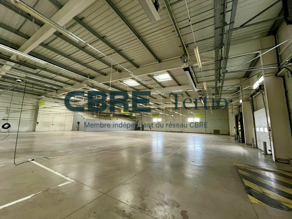 CBRE Tertio LOCATION-LOCAL D'ACTIVITE-JOUE-LES-TOURS-37