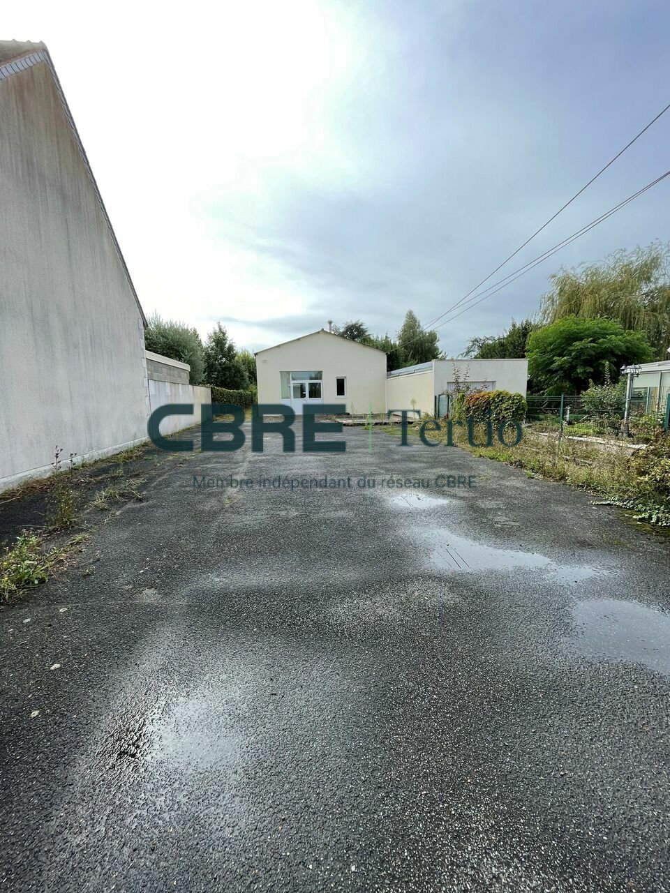 CBRE Tertio LOCATION-LOCAL D'ACTIVITE-SAINT_AVERTIN-37