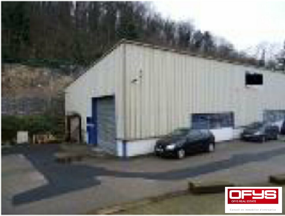OFYS LOCATION-LOCAL D'ACTIVITE-FLEURIEU_SUR_SAONE-69