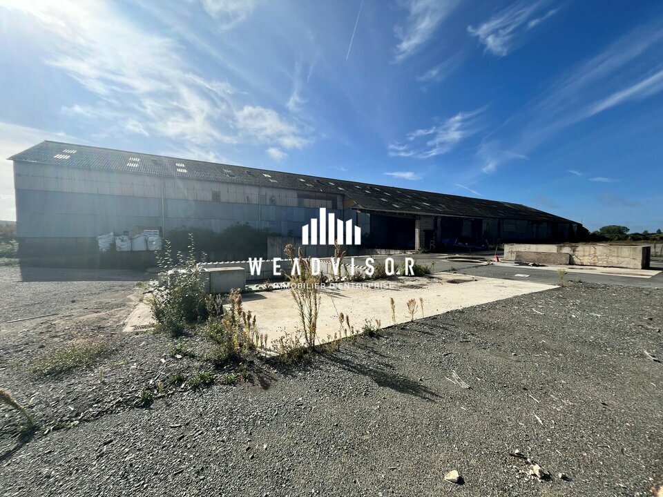 WEADVISOR LE MANS VENTE-LOCAL D'ACTIVITE-MONTFORT_LE_GESNOIS-72