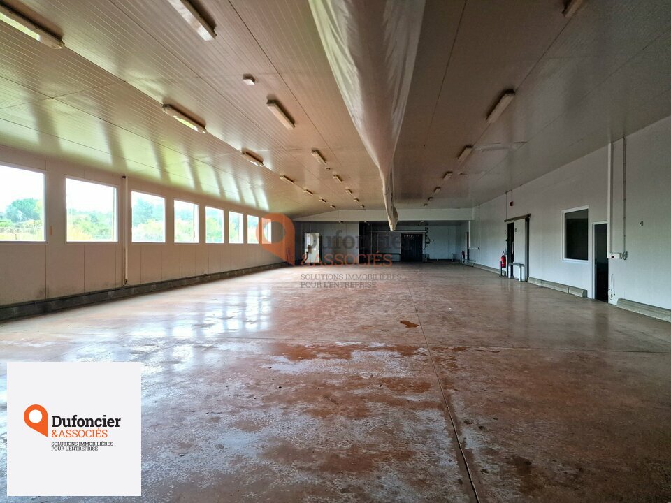 DUFONCIER ET ASSOCIES VENTE-LOCAL D'ACTIVITE-MIGNALOUX_BEAUVOIR-86