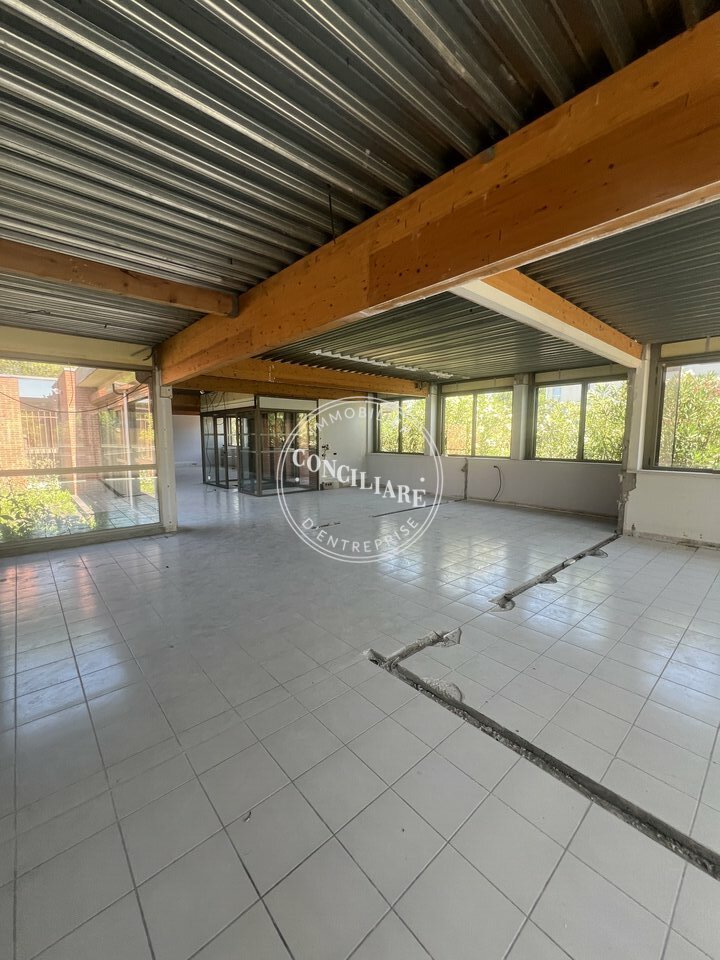CONCILIARE LOCATION-BUREAUX-LABEGE-31