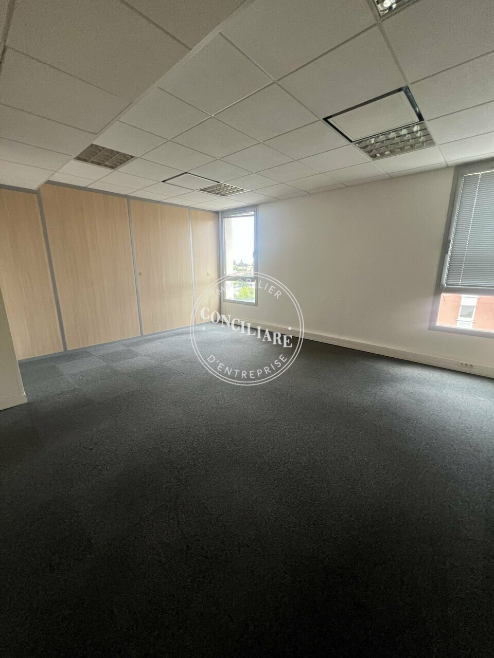 CONCILIARE LOCATION-BUREAUX-TOULOUSE-31