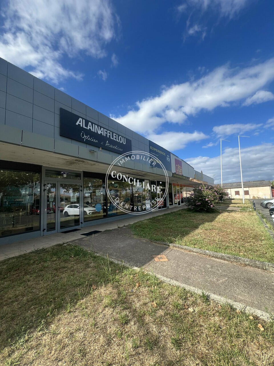 CONCILIARE LOCATION-LOCAL COMMERCIAL-PLAISANCE-DU-TOUCH-31