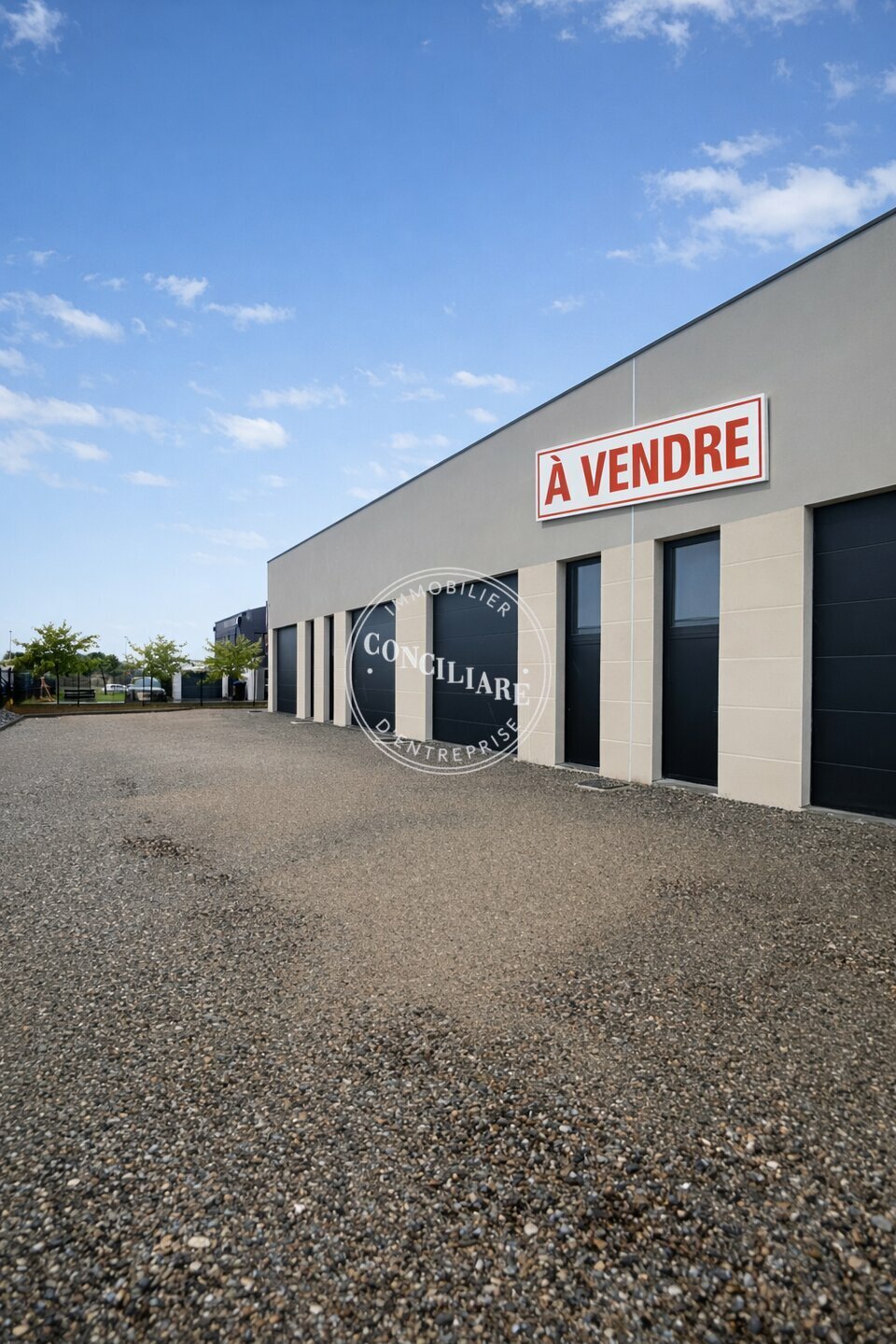 CONCILIARE VENTE-LOCAL D'ACTIVITE-CASTANET_TOLOSAN-31