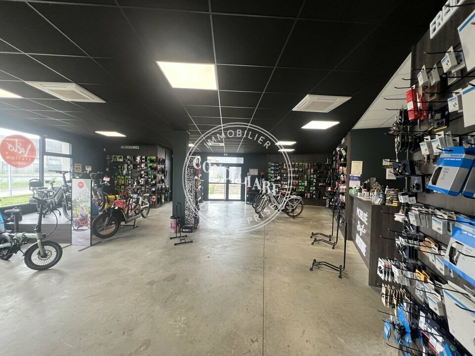 CONCILIARE LOCATION-LOCAL COMMERCIAL-TOULOUSE-31