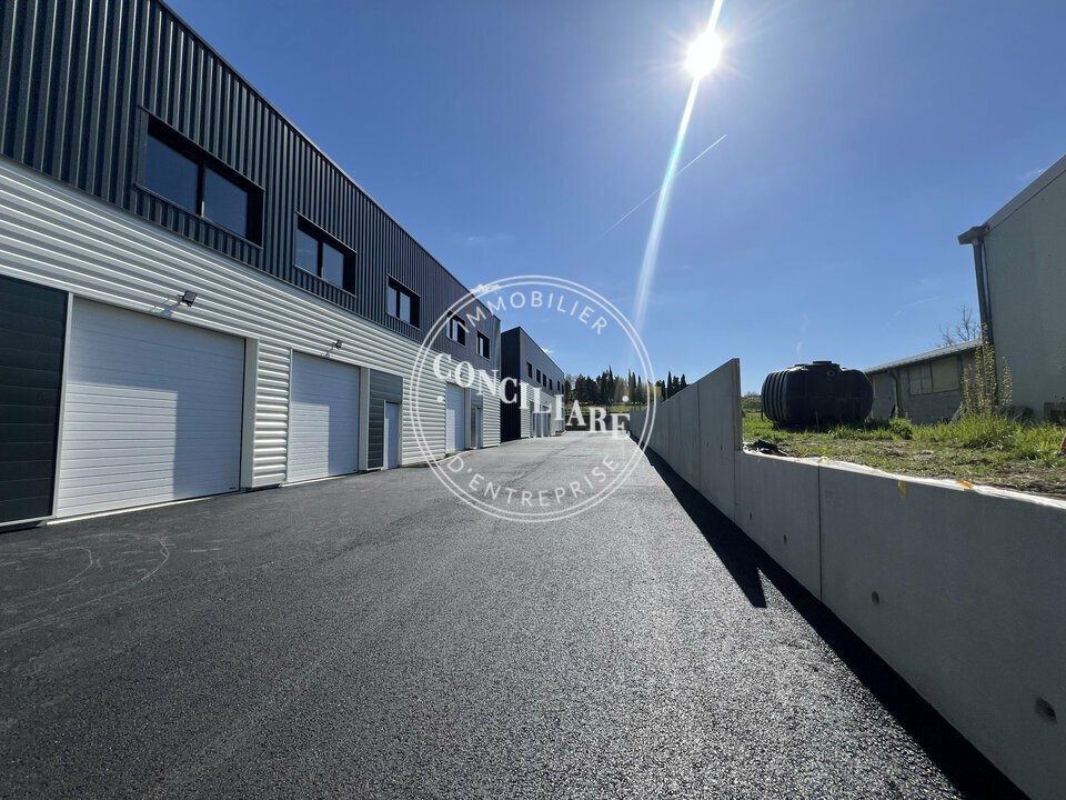 CONCILIARE LOCATION-LOCAL D'ACTIVITE-QUINT-FONSEGRIVES-31