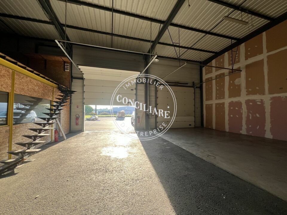 CONCILIARE LOCATION-LOCAL D'ACTIVITE-BEAUPUY-31
