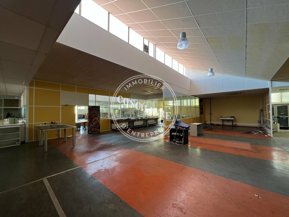 CONCILIARE VENTE-LOCAL D'ACTIVITE-TOULOUSE-31