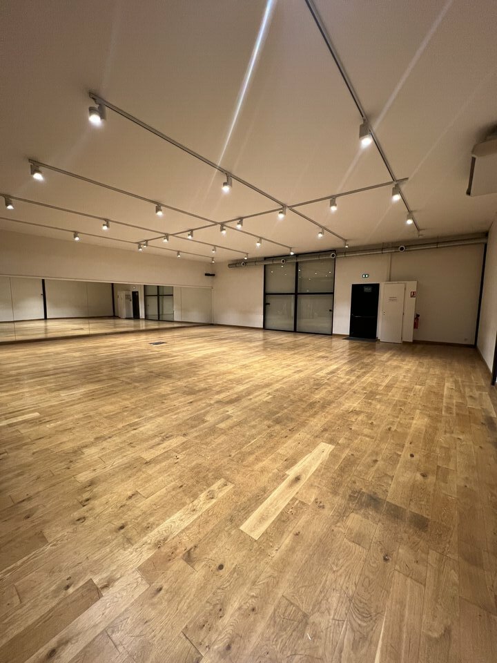 CONCILIARE LOCATION-LOCAL COMMERCIAL-TOULOUSE-31