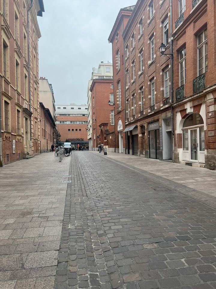 CONCILIARE LOCATION-LOCAL COMMERCIAL-TOULOUSE-31