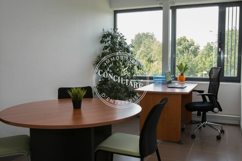 CONCILIARE LOCATION-BUREAUX-LABEGE-31