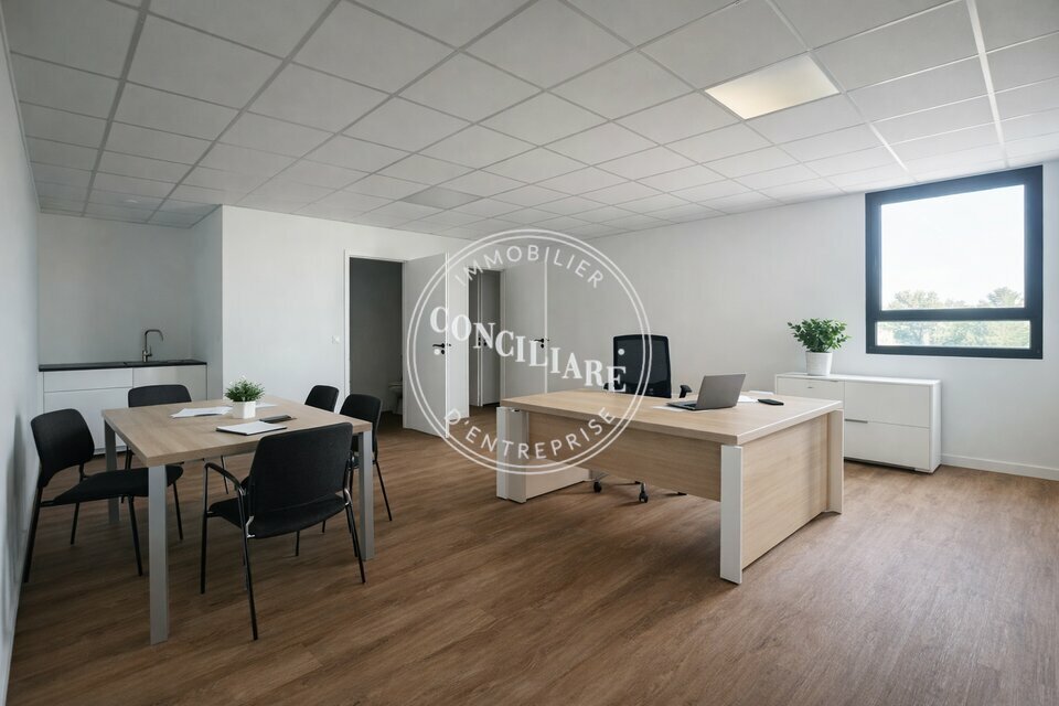 CONCILIARE VENTE-LOCAL D'ACTIVITE-CASTANET_TOLOSAN-31