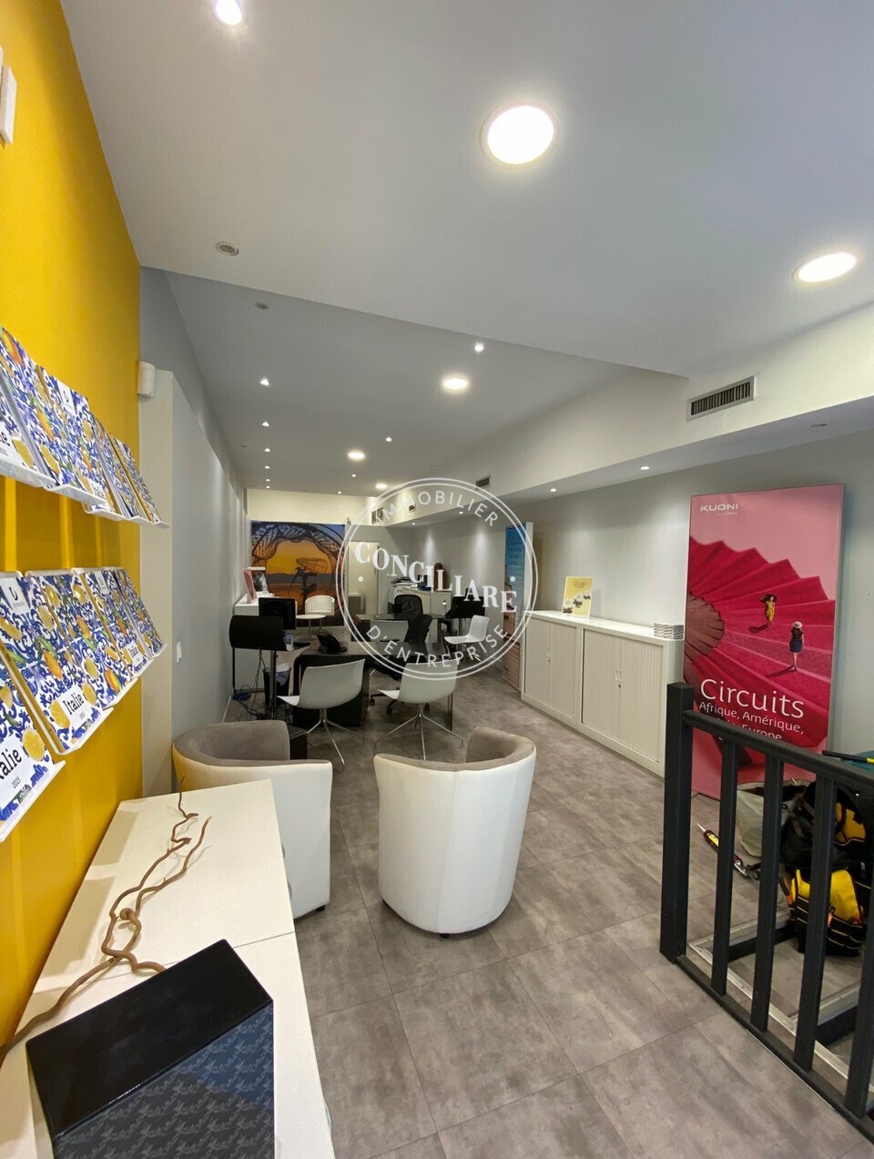 CONCILIARE LOCATION-LOCAL COMMERCIAL-TOULOUSE-31