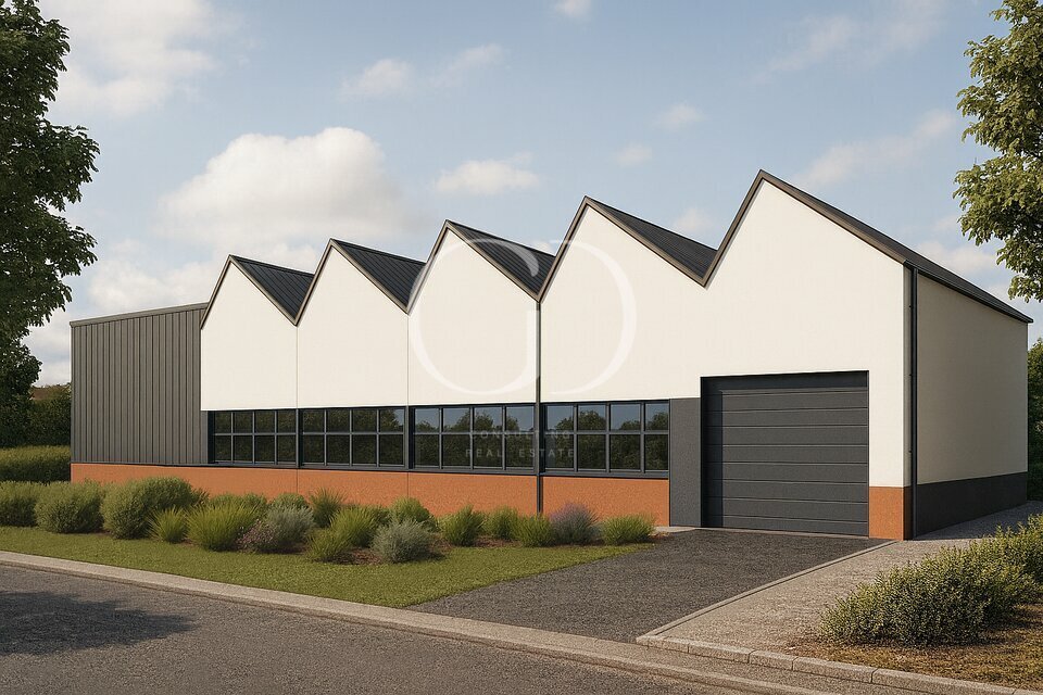 GD CONSULTING VENTE-LOCAL D'ACTIVITE-CRAPONNE-69