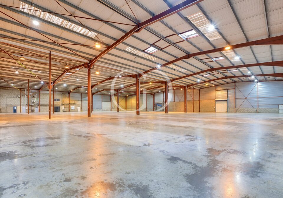 GD CONSULTING LOCATION-LOCAL D'ACTIVITE-MIRIBEL-01