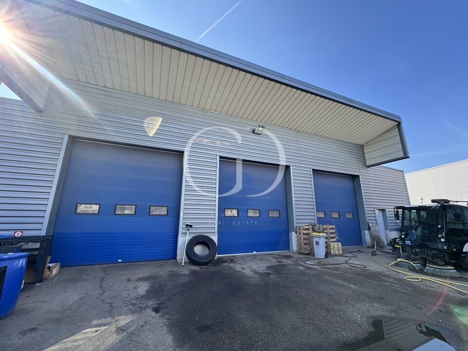 GD CONSULTING LOCATION-LOCAL D'ACTIVITE-VILLEURBANNE-69