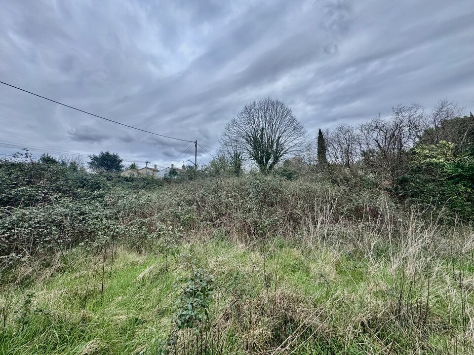 ARTHUR LOYD CHARENTE VENTE-TERRAIN-SOYAUX-16
