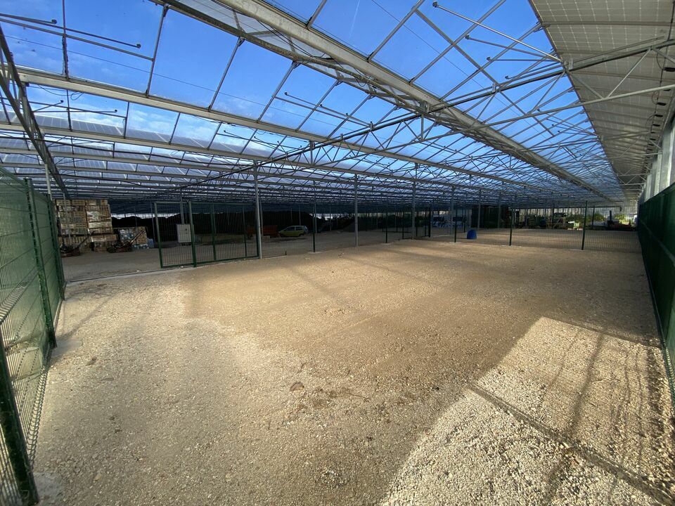 AZUREA COMMERCES   ENTREPRISES LOCATION-TERRAIN-LA_ROQUETTE-SUR-SIAGNE-06