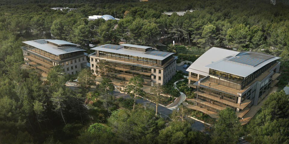 AZUREA COMMERCES   ENTREPRISES LOCATION-BUREAUX-VALBONNE-06