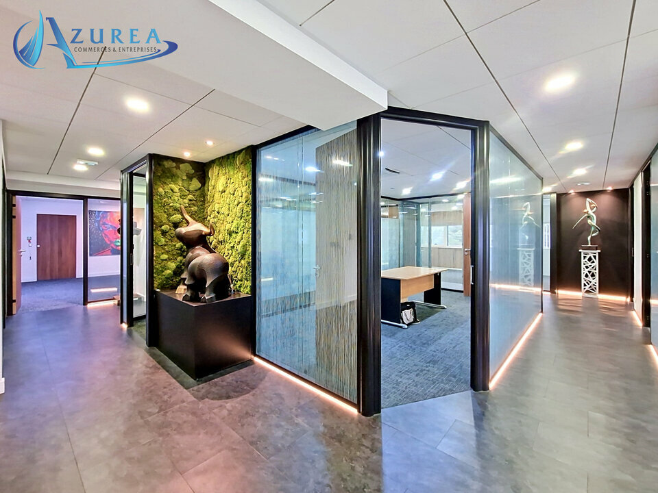 AZUREA COMMERCES   ENTREPRISES LOCATION-BUREAUX-VILLENEUVE_LOUBET-06