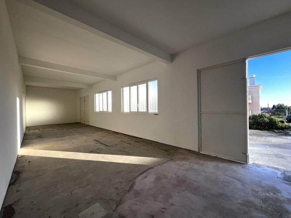 AZUREA COMMERCES   ENTREPRISES LOCATION-LOCAL D'ACTIVITE-NICE-06