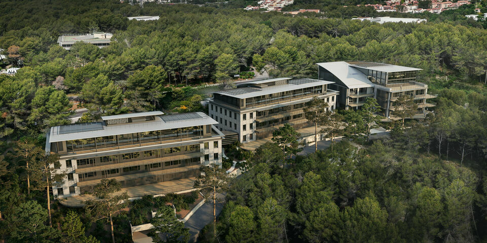 AZUREA COMMERCES   ENTREPRISES LOCATION-BUREAUX-VALBONNE-06