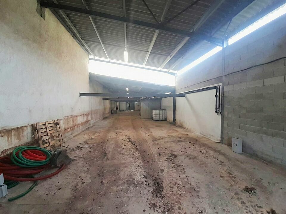 AZUREA COMMERCES   ENTREPRISES LOCATION-ENTREPOT-LE_CANNET_DES_MAURES-83