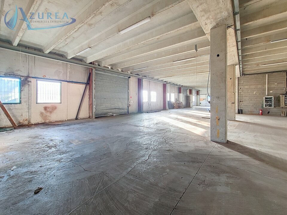 AZUREA COMMERCES   ENTREPRISES LOCATION-LOCAL D'ACTIVITE-SAINT_JEANNET-06