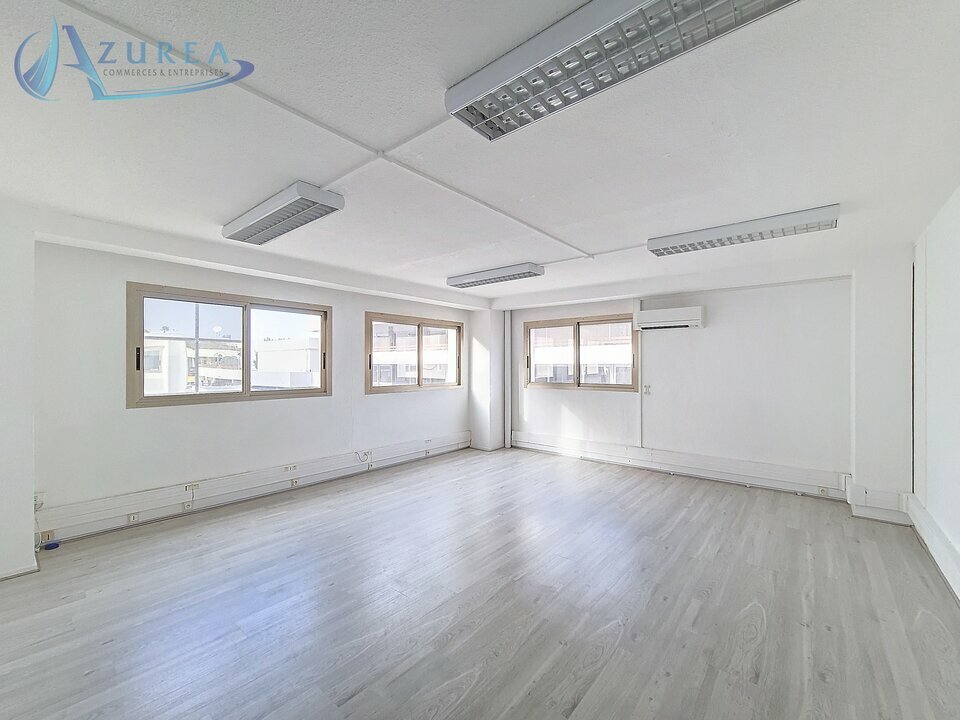 AZUREA COMMERCES   ENTREPRISES LOCATION-BUREAUX-SAINT_LAURENT_DU_VAR-06