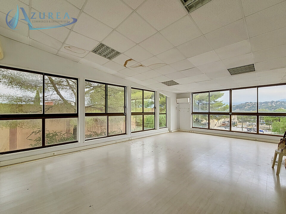 AZUREA COMMERCES   ENTREPRISES LOCATION-BUREAUX-LE_CANNET-06