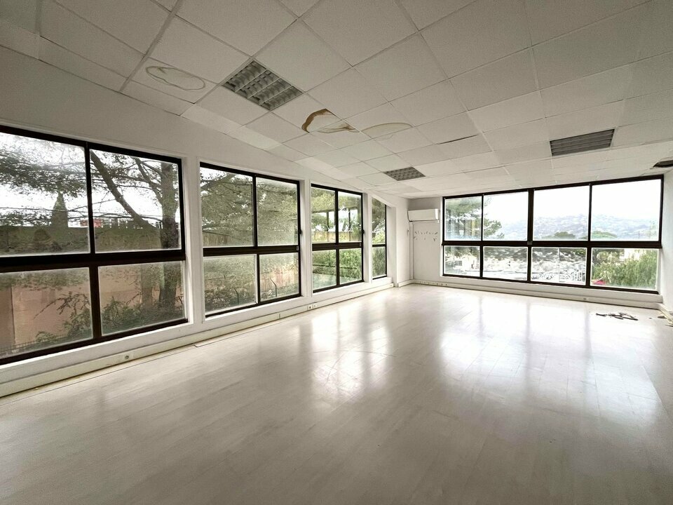 AZUREA COMMERCES   ENTREPRISES LOCATION-BUREAUX-LE_CANNET-06