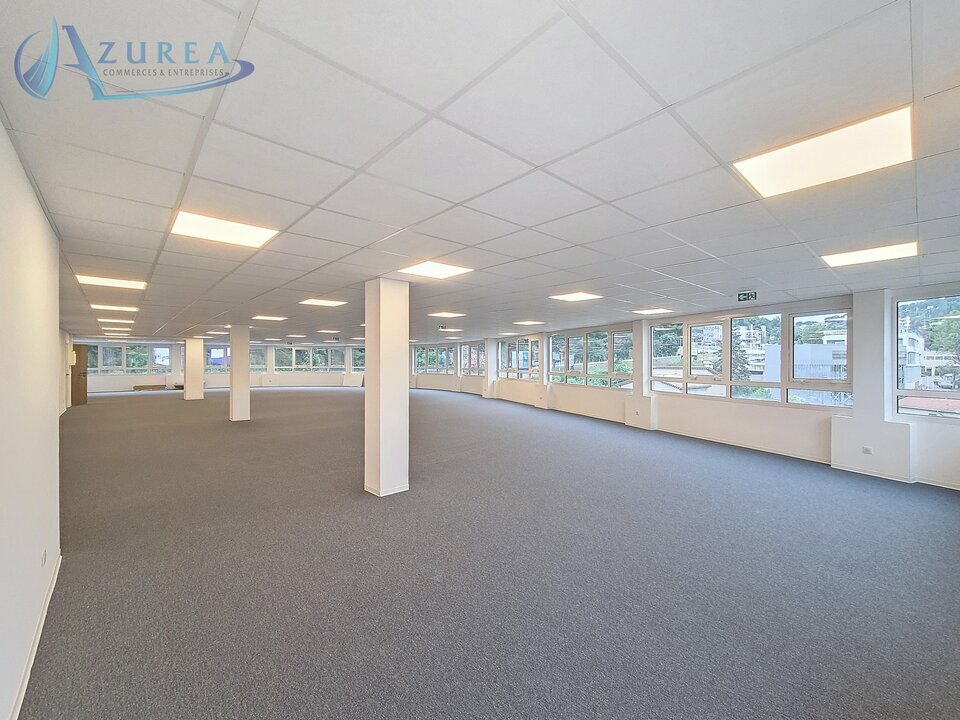 AZUREA COMMERCES   ENTREPRISES LOCATION-BUREAUX-LE_CANNET-06