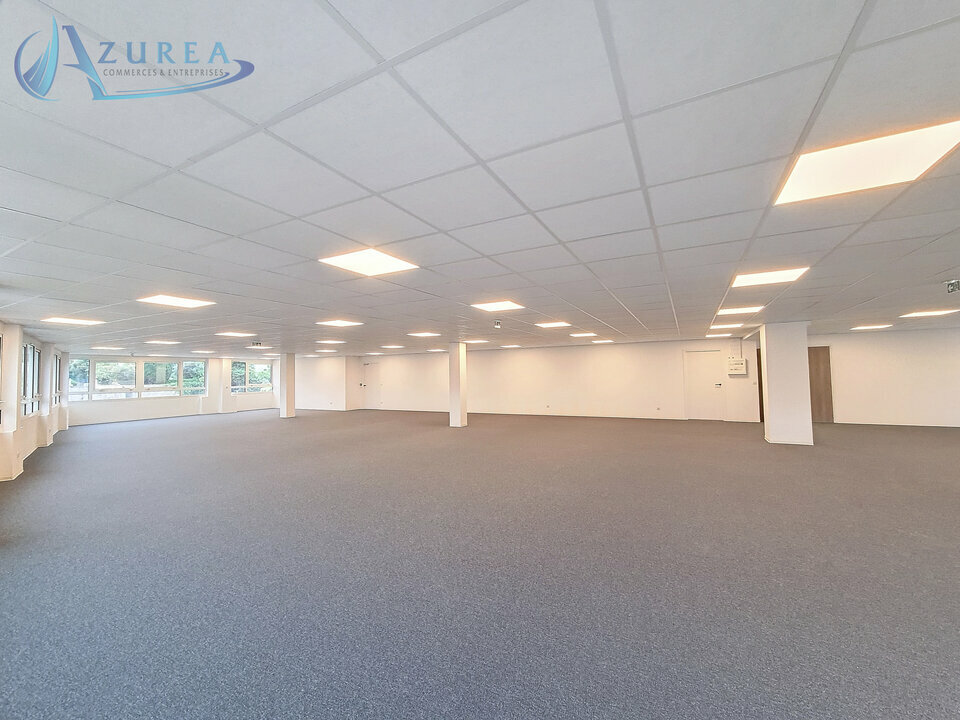 AZUREA COMMERCES   ENTREPRISES LOCATION-BUREAUX-LE_CANNET-06
