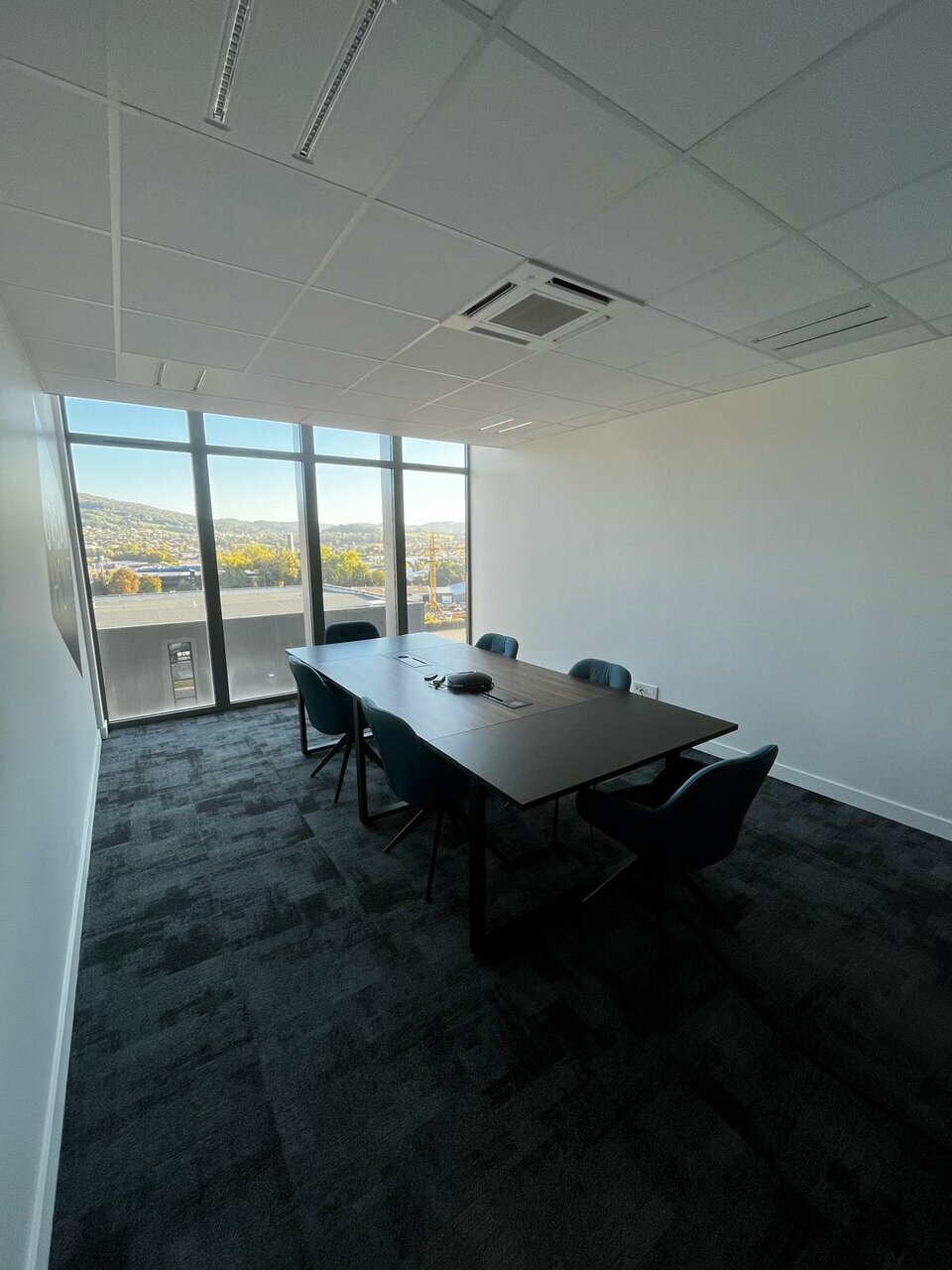 MONOD IMMO PRO LOCATION-BUREAUX-POISY-74