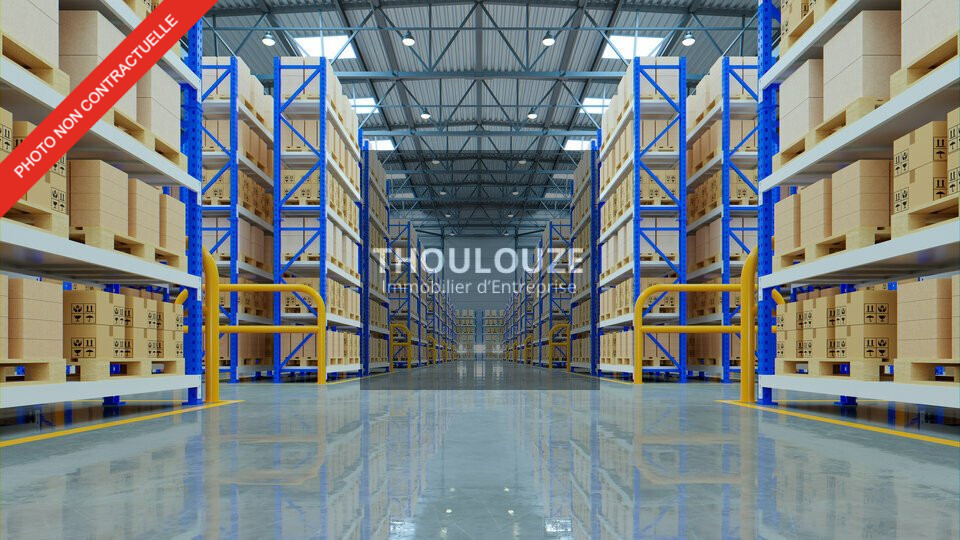 THOULOUZE IMMOBILIER LOCATION-LOCAL D'ACTIVITE-AIGUES_MORTES-30
