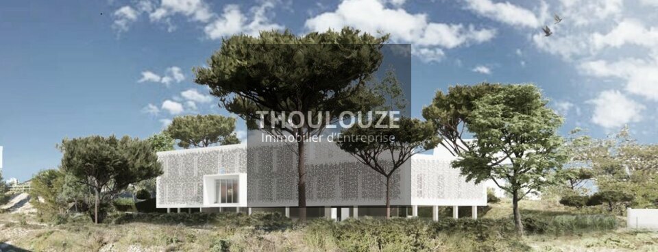 THOULOUZE IMMOBILIER VENTE-BUREAUX-LES_ANGLES-30