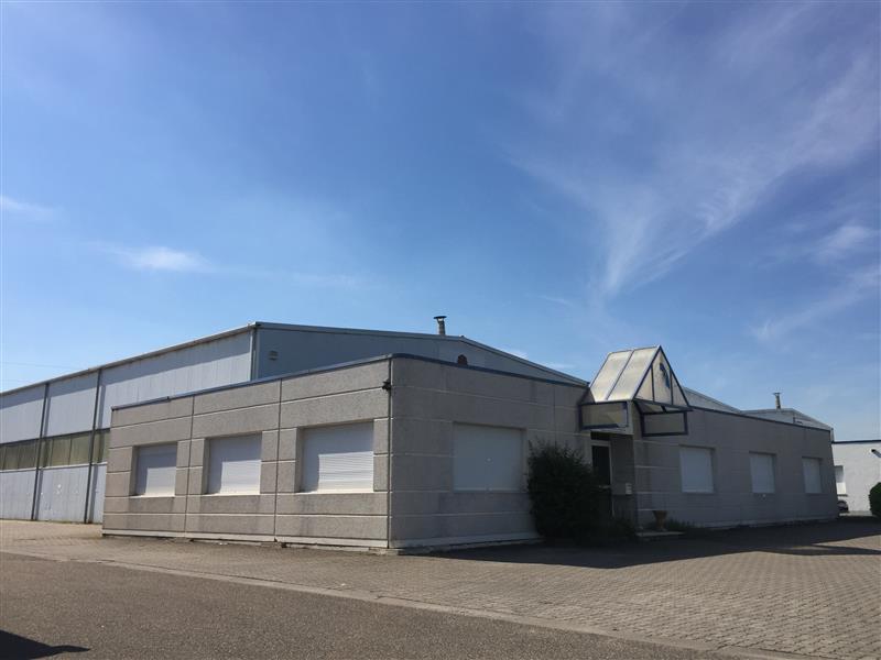 ADVENIS CONSEIL STRASBOURG LOCATION-LOCAL D'ACTIVITE-VENDENHEIM-67