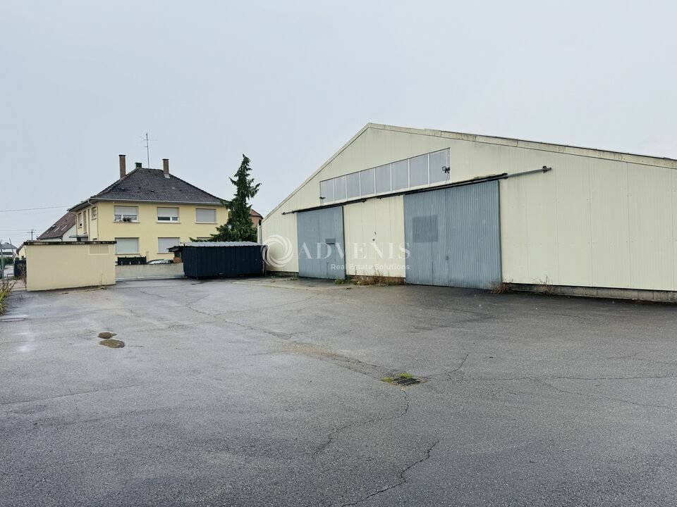 ADVENIS CONSEIL STRASBOURG LOCATION-LOCAL D'ACTIVITE-FEGERSHEIM-67