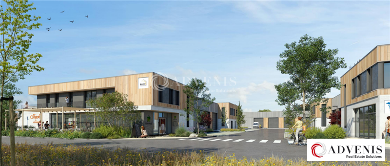 ADVENIS CONSEIL LILLE LOCATION-ENTREPOT-FRETIN-59