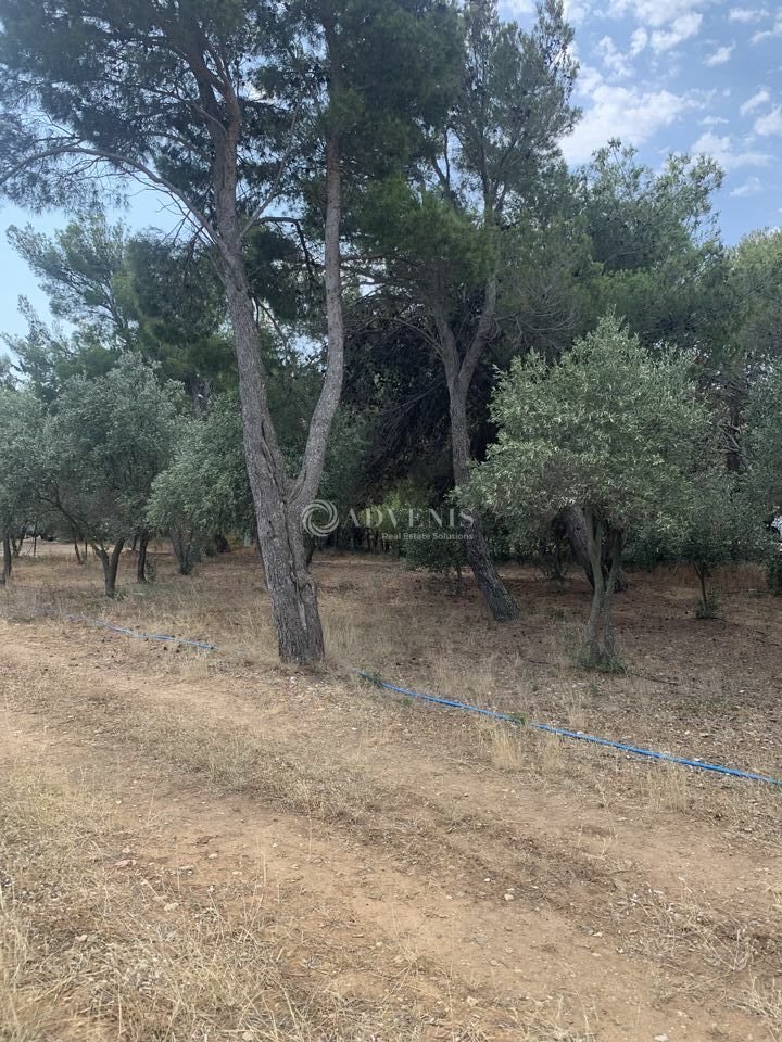 ADVENIS CONSEIL NARBONNE VENTE-LOCAL COMMERCIAL-NARBONNE-11