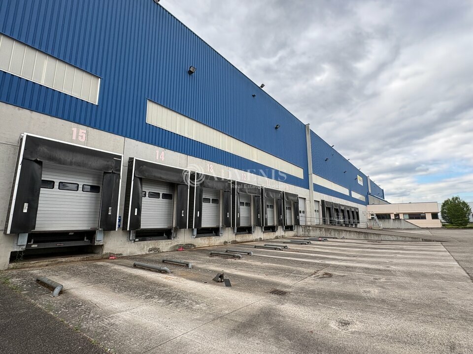 ADVENIS CONSEIL STRASBOURG LOCATION-ENTREPOT-STRASBOURG-67