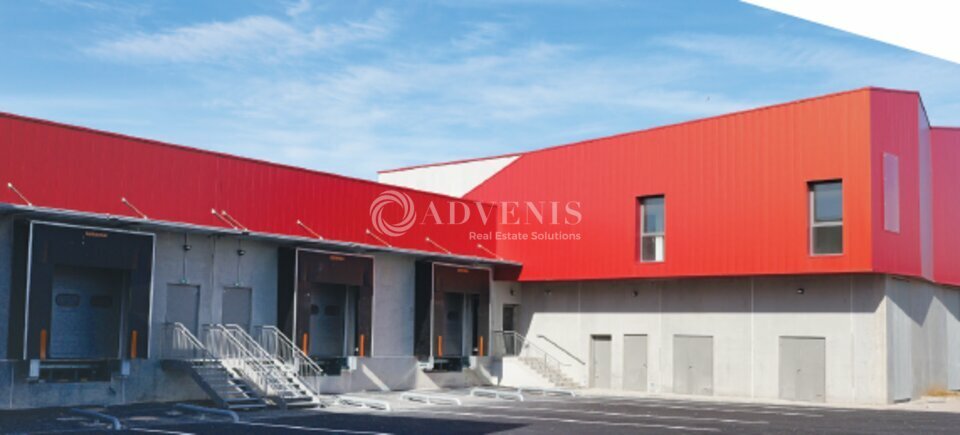 ADVENIS CONSEIL LILLE LOCATION-LOCAL D'ACTIVITE-BOULOGNE-SUR-MER-62