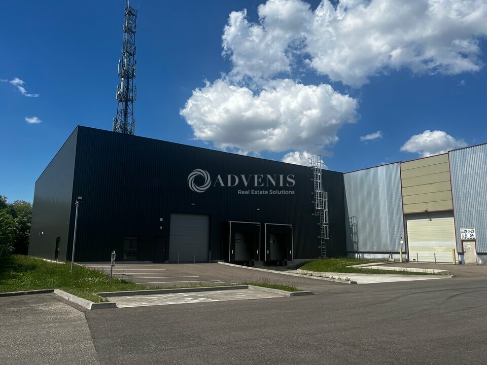 ADVENIS CONSEIL STRASBOURG LOCATION-ENTREPOT-ECKBOLSHEIM-67