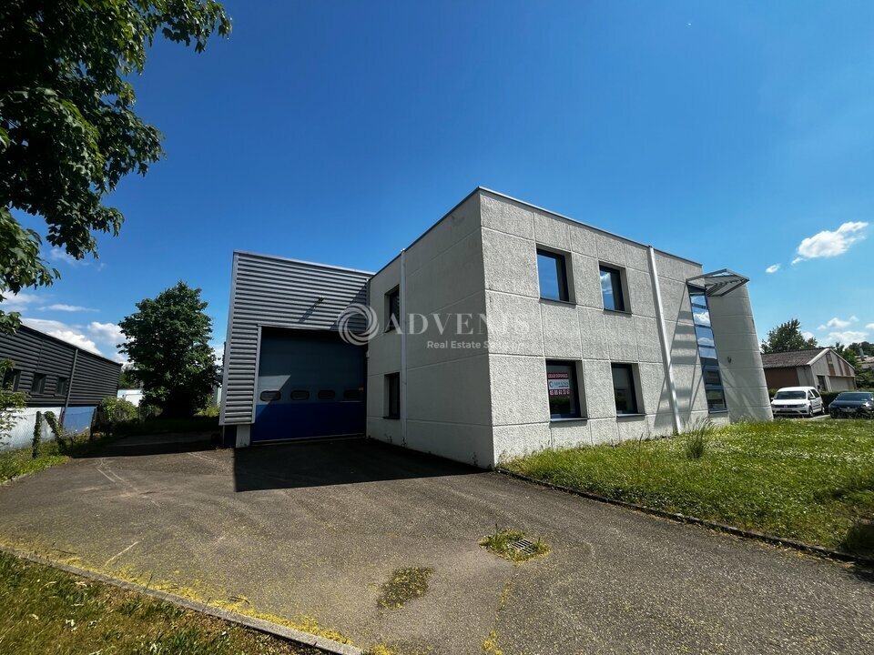 ADVENIS CONSEIL STRASBOURG LOCATION-LOCAL D'ACTIVITE-FEGERSHEIM-67