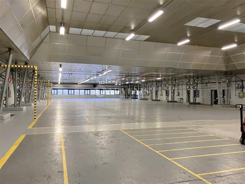 ADVENIS CONSEIL BOURGES LOCATION-LOCAL D'ACTIVITE-DIORS-36