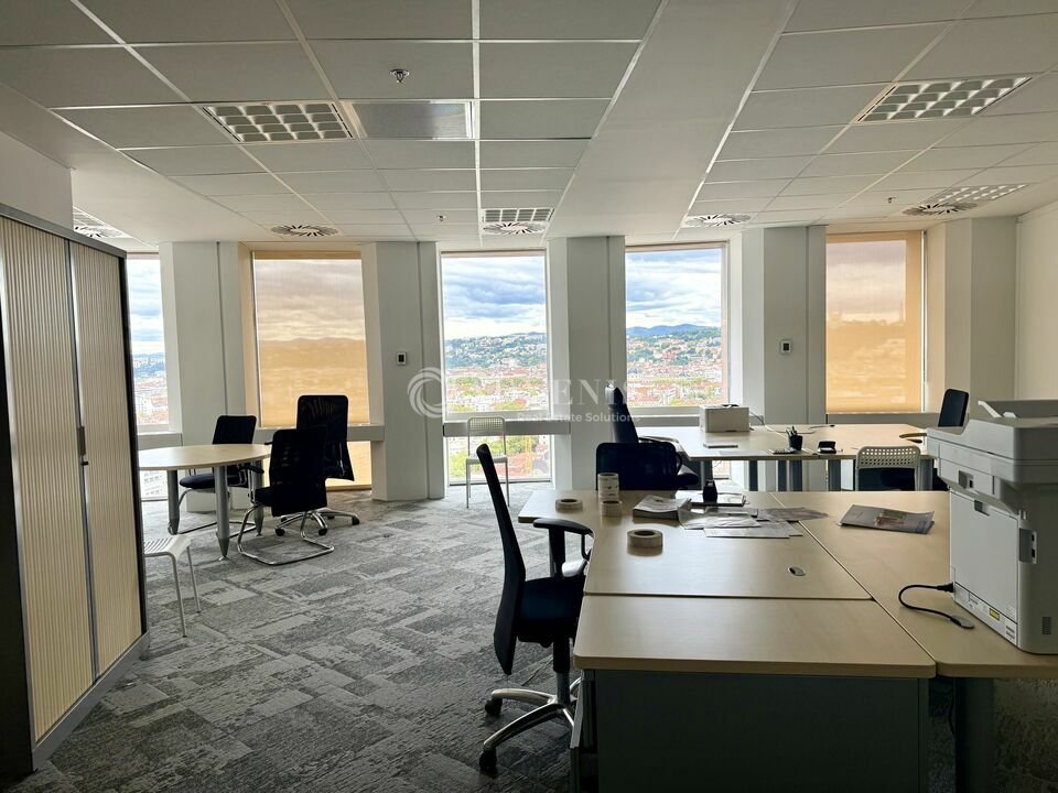 ADVENIS CONSEIL LYON LOCATION-BUREAUX-LYON-69