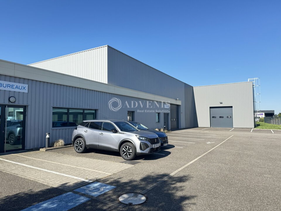 ADVENIS CONSEIL STRASBOURG VENTE-LOCAL D'ACTIVITE-HOERDT-67