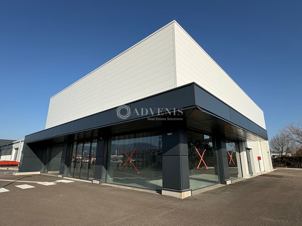 ADVENIS CONSEIL STRASBOURG LOCATION-LOCAL D'ACTIVITE-OBERNAI-67