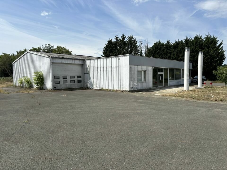 ADVENIS CONSEIL LE MANS LOCATION-LOCAL COMMERCIAL-YVRE-L'EVEQUE-72
